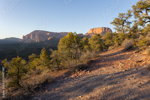 Burnt Mountain and Kolob fingers in Southern Utah are seen in warm sunset light from the rim of nearby Smith Mesa. Gnarled juniper trees and open ground frame the scene.