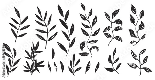 Fototapeta Naklejka Na Ścianę i Meble -  Set of cute hand drawn black vector textured ink leaves and branches. Unique herbs for botanical background design, textile patterns, frames, greeting cards