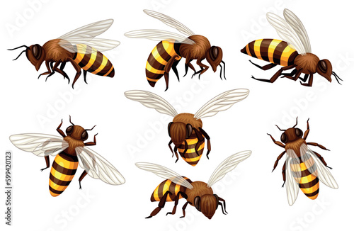 Set of bees
