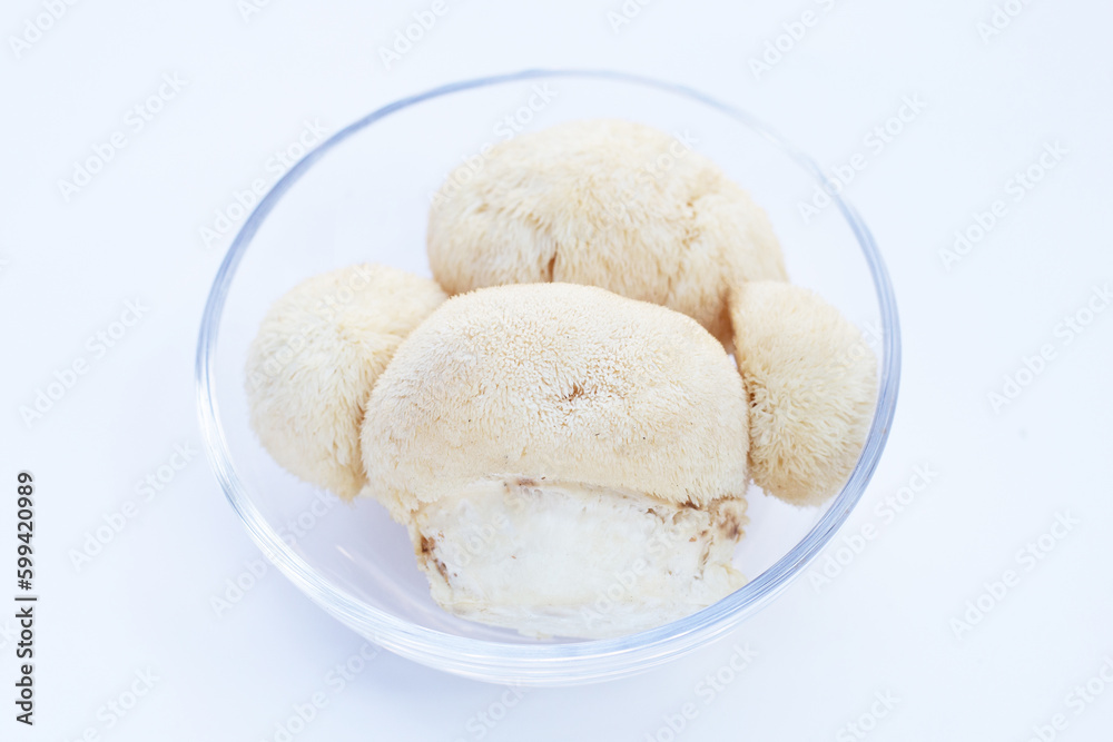 Fresh lion's mane mushroom on white background. Fresh lion's mane mushroom on white background.
