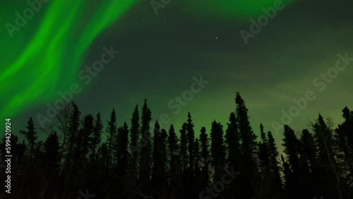 Aurora borealis time-lapse over Forest in Fairbanks