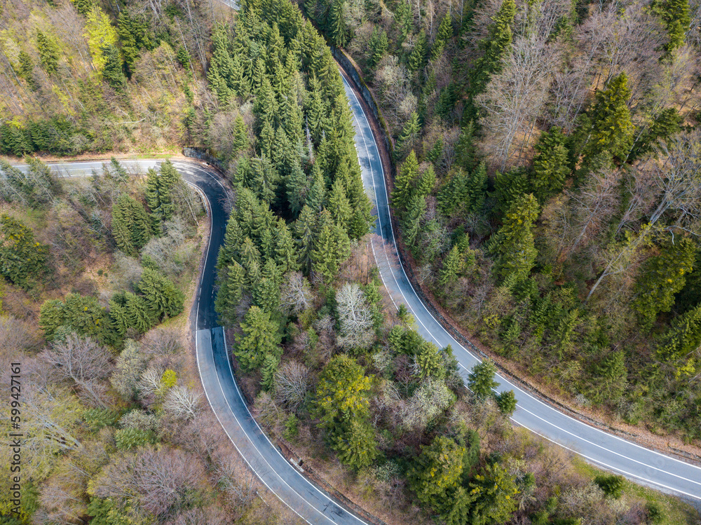 Winding road trough dense forest. Aerial drone view, top down