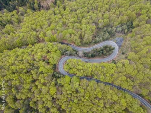 Winding road trough dense forest. Aerial drone view  top down