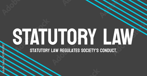 Statutory Law: Laws passed by legislative bodies.