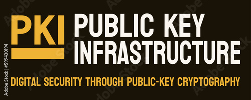 PKI Public Key Infrastructure: Cryptographic system for secure data transmission.