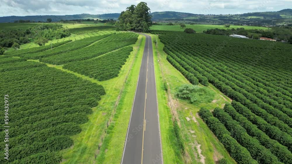 Country Road At Country Scene Rural Landscape Countryside. Forest Landscape Tranquility. Countryside Sky Clouds Rural Field. Countryside Outdoor Rural Sky Panning Wide.