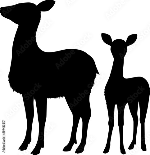 エゾシカの雌と子鹿