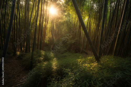 Bamboo Forest During the Golden Hour right before sundown  generative ai