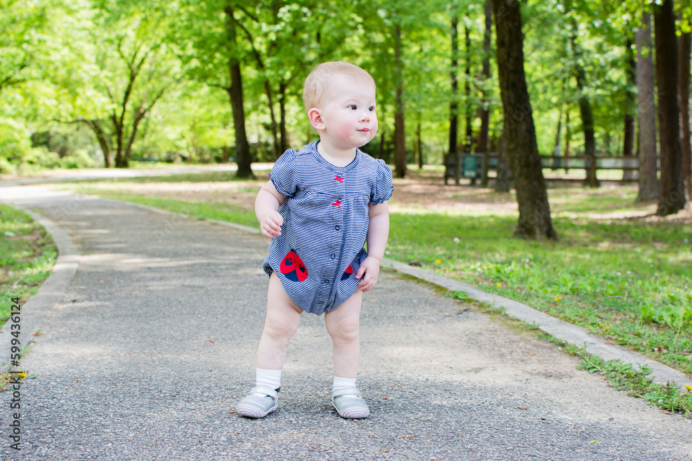 A Toddler is taking her first steps in the park. Baby is learning how to walk. Baby development 1-year-old girl A Toddler is taking her first steps in the park. Baby is learning how to walk. Baby development 1-year-old girl