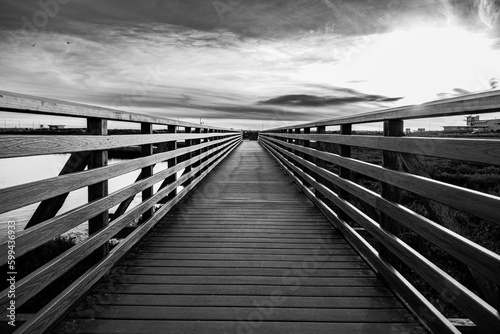 wooden bridge over the wetlands