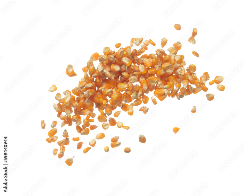 Corn dried seed grain fly in mid air. Yellow Golden corn seed falling