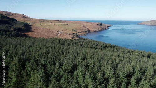 Wallpaper Mural Drone dolley panning shot over green pine tree forest next to a clear blue bay Torontodigital.ca
