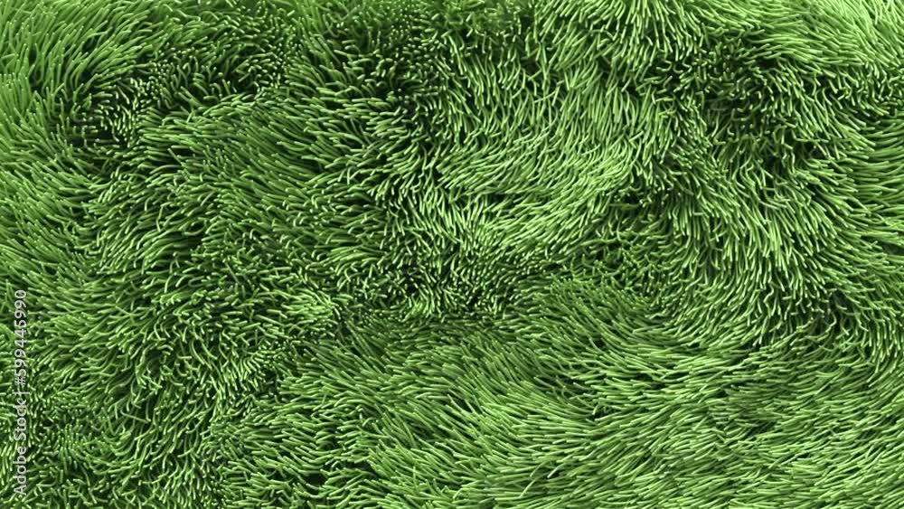 Smoothly moving lines, like grass swaying in the wind. Wavy swirling hair background. Fuzzy carpet. Seamless loop