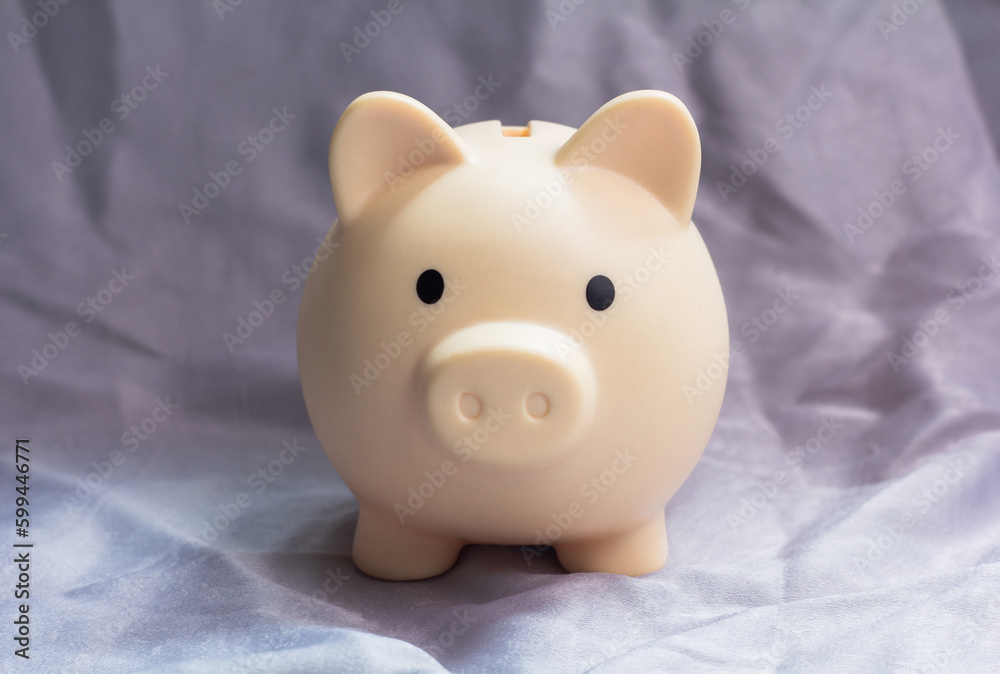 piggy bank piggy bank
