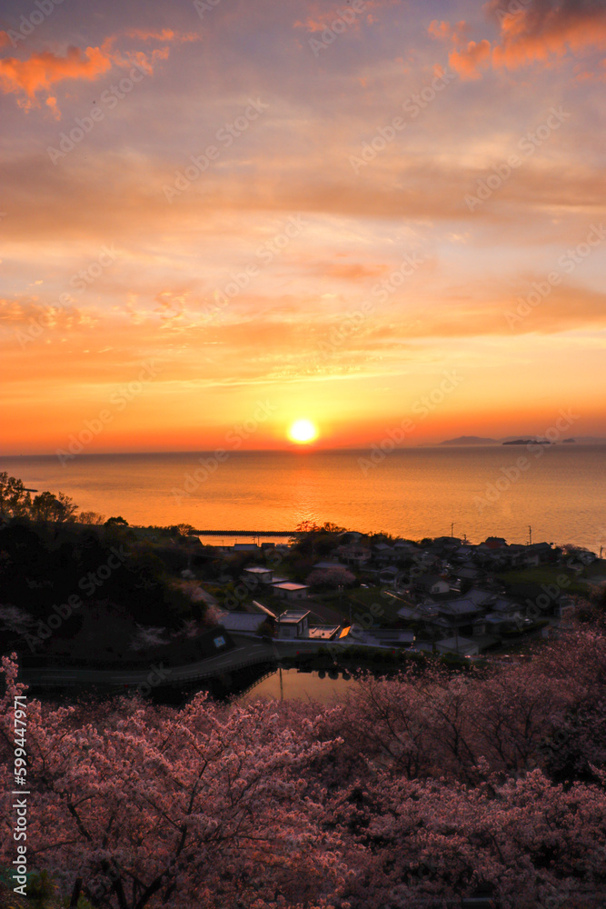 伊予市双海の夕日と海と桜の景色 伊予市双海の夕日と海と桜の景色