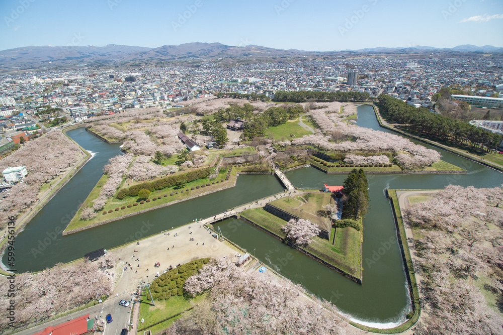 Beautiful aerial view of Goryokaku park and city with pink cherry blossoms in Spring, Hakodate, Hokkaido, Japan