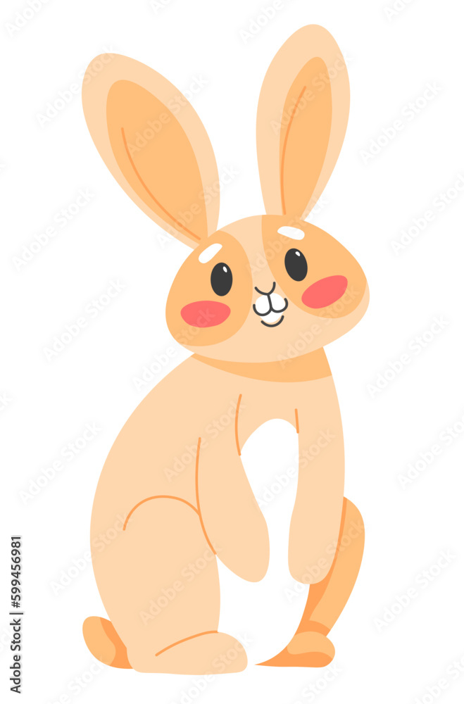 Fototapeta premium Bunny animal with long ears, hare or rabbit mammal