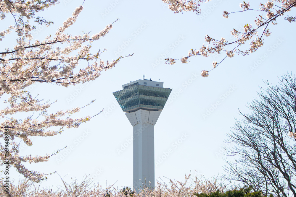 Beautiful landscape of Goryokaku Tower with pink cherry blossom (Sakura flower) foreground in Hakodate, Hokkaido, Japan Beautiful landscape of Goryokaku Tower with pink cherry blossom (Sakura flower) foreground in Hakodate, Hokkaido, Japan