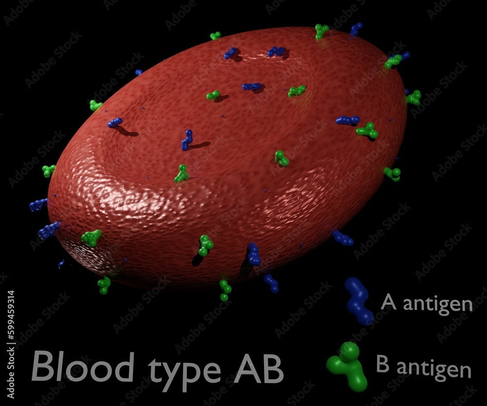 Isolated Blood type AB with Antigens present on the red cell surface 3d