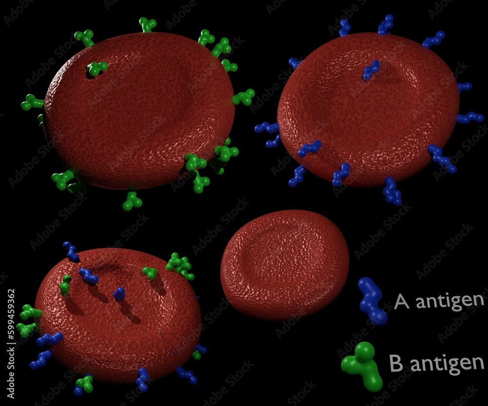 Isolated Blood types A, B, AB, and O with Antigens present on the red