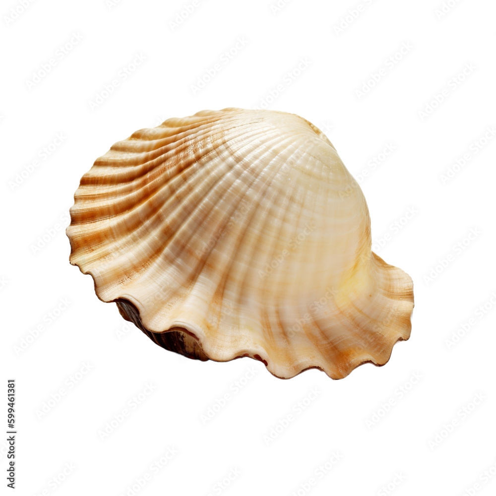 Shell isolated on transparent background, Generative AI