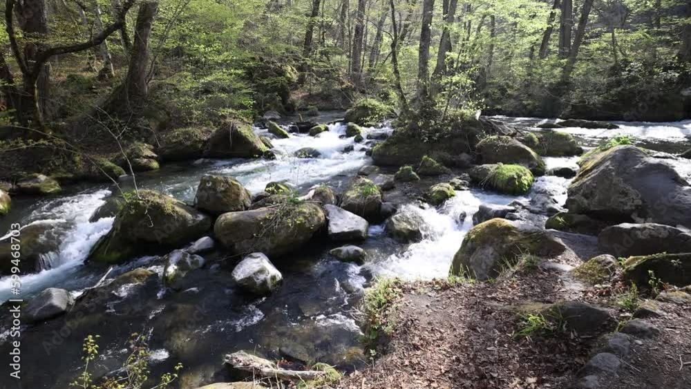 Oirase Gorge, Flow of Ashura Oirase Gorge, Flow of Ashura