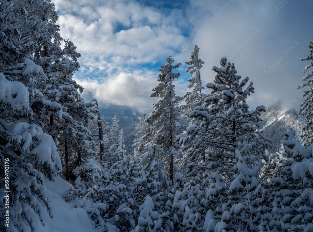 Bavarian Mountain hike to the Herzogstand peak with snow and sun 