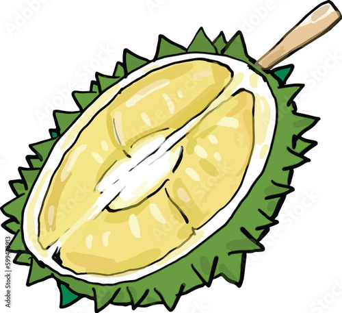 cartoon durian cut in half beautiful betel