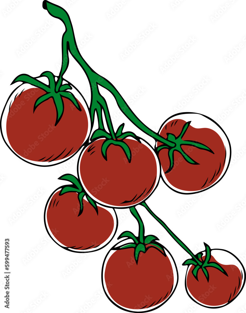 Lineart style red cherry tomatoes on green branch isolated on white background Lineart style red cherry tomatoes on green branch isolated on white background