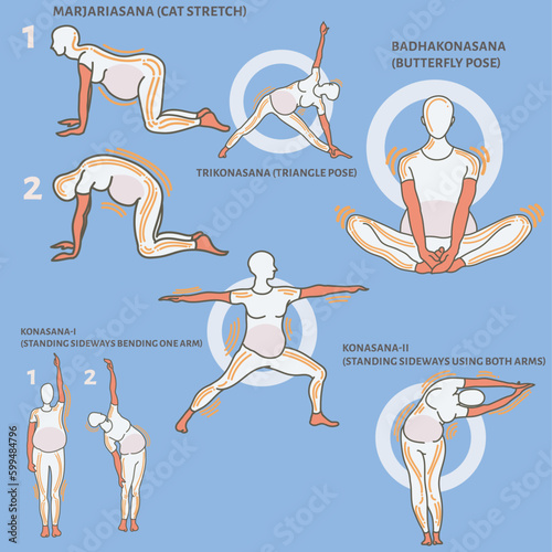 yoga aasan for pregnant woman, yoga aasan during pregnancy, vector flat illustration set,healthy pregnant woman 
