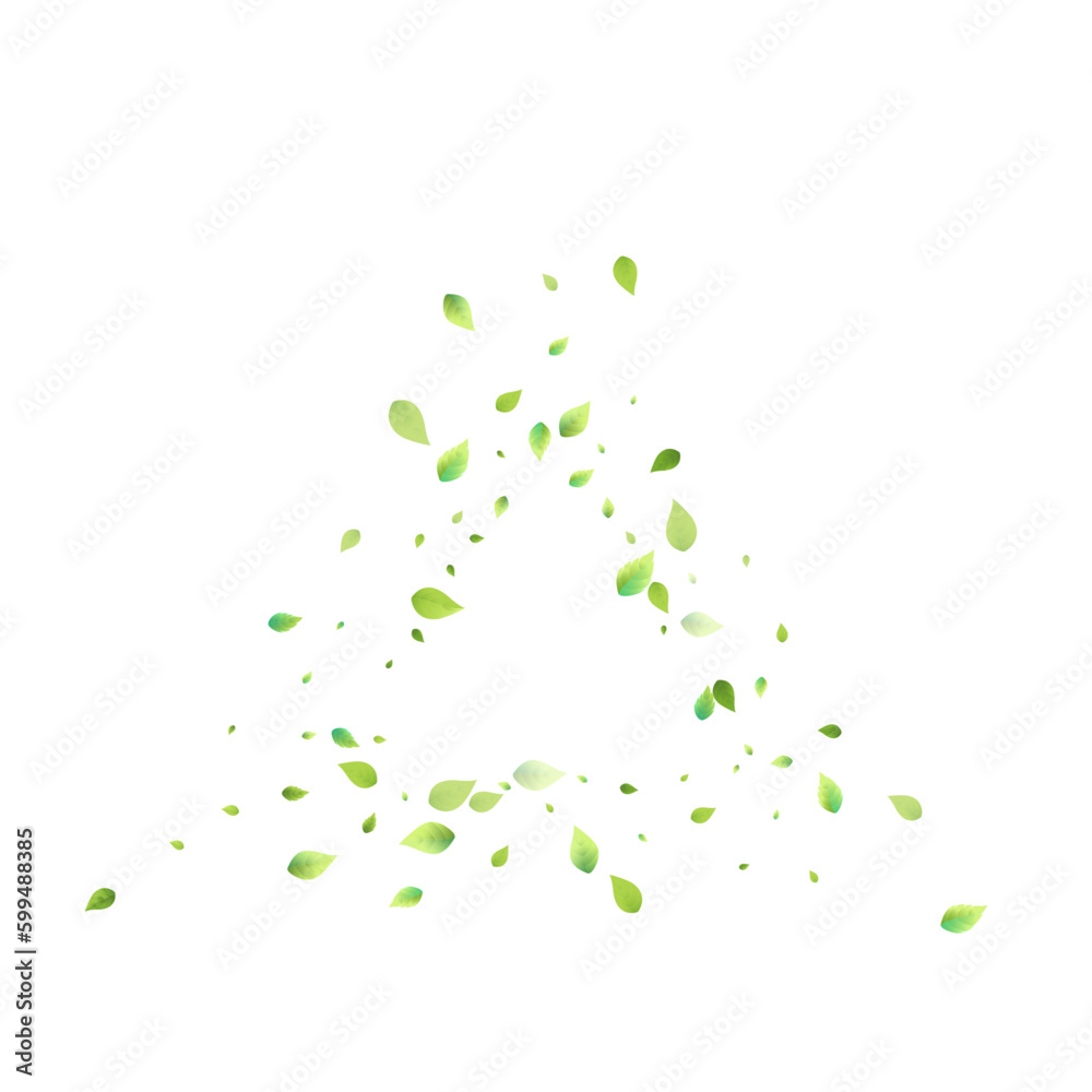 Leaves Green Falling Flying Foliage Leaf Tea Mint Leaves Green Falling Flying Foliage Leaf Tea Mint