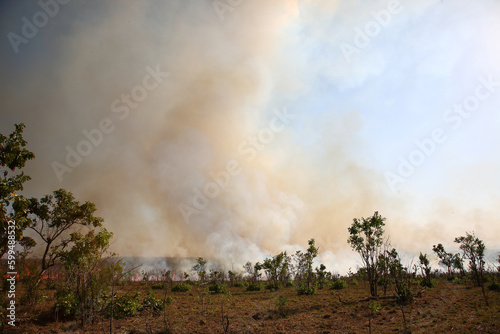 Afrikanischer Busch - Kr  gerpark - Buschfeuer   African Bush - Kruger Park - Bushfire  