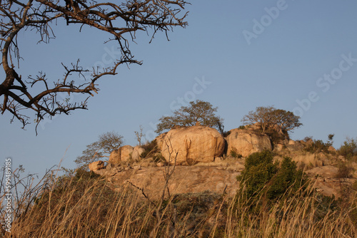 Afrikanischer Busch - Krügerpark - Mount Shabeni / African Bush - Kruger Park - Mount Shabeni /