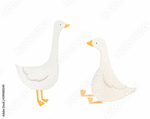 Obraz na plátne Beautiful stock illustration with hand drawn watercolor cute little goose birds