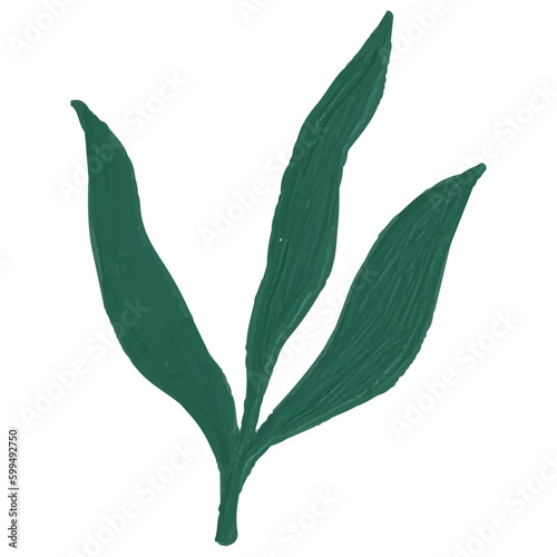 Green leaf icon