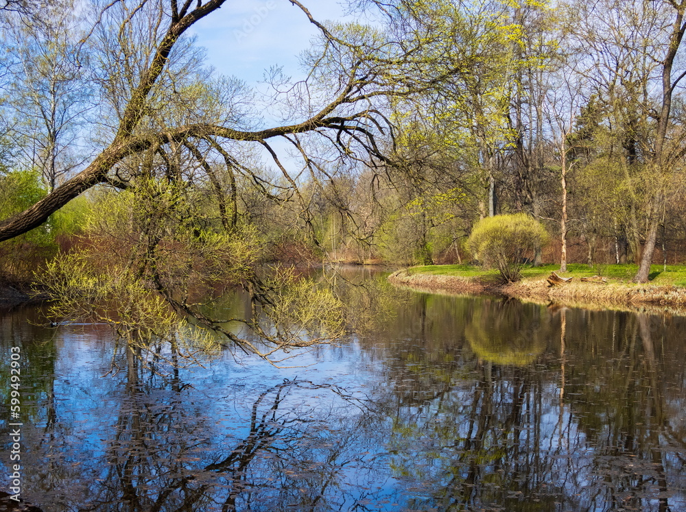 Spring landscape of the parks of St. Petersburg.