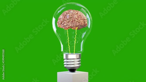 Wallpaper Mural 3d brain rotating inside a lightbulb, great mind concept, loop, Green Screen Chromakey  Torontodigital.ca