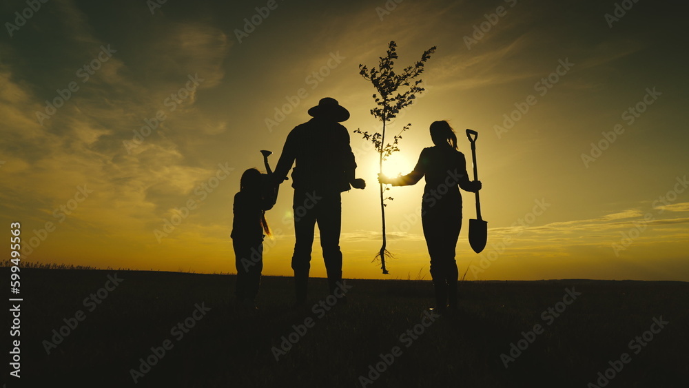 happy family. dad mom child going plant tree field. Watering shovel. Silhouette family sunset background. small Child With dad mom gardener point work field. plant tree garden. Agriculture. ECO