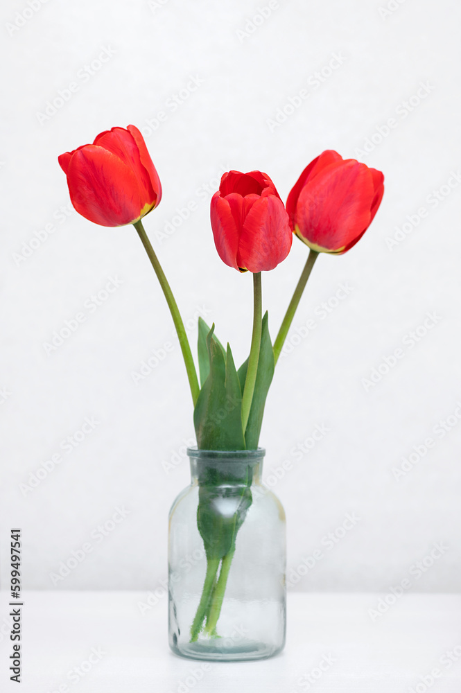 Bouquet of fresh red tulips in a vase on the table. View with copy space Bouquet of fresh red tulips in a vase on the table. View with copy space
