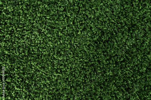 Green carpet for the floor in high resolution