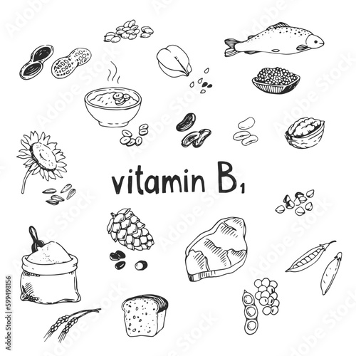 Vector hand-drawn set of vitamin B1 source foods. Dietetic organic nutrition. Doodle vector illustration with natural healthy products.