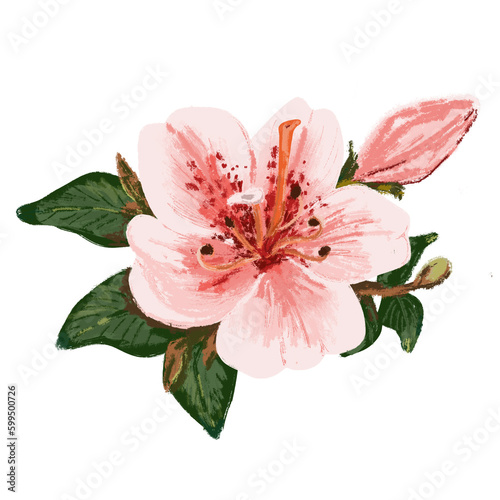 Painted pink azalea flower with bud and leaves closeup