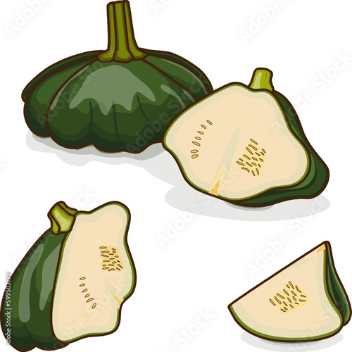 Whole, half, quarter of Green Patty Pan squash or Scallop or Scallopini squash. Summer squash. Cucurbita pepo. Fruits and vegetables. Cartoon style. Vector illustration isolated on white background.