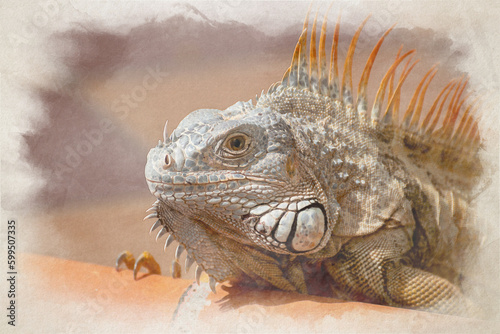 A digital watercolour painting of a green Iguana in a palm tree. photo