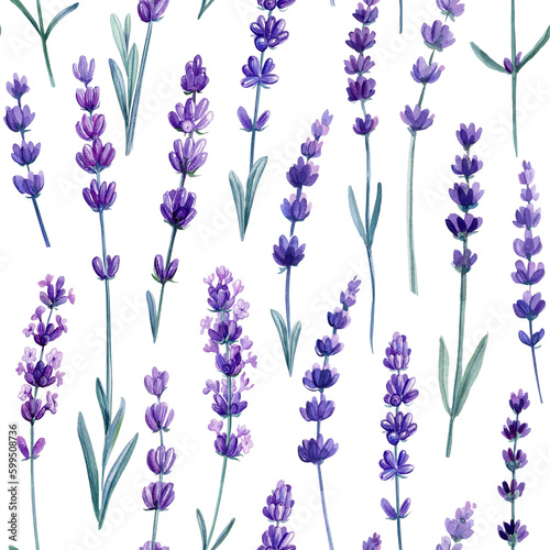 Violet flowers. Wildflower lavender hand drawing  flower watercolor style. Floral seamless pattern  wrapper.