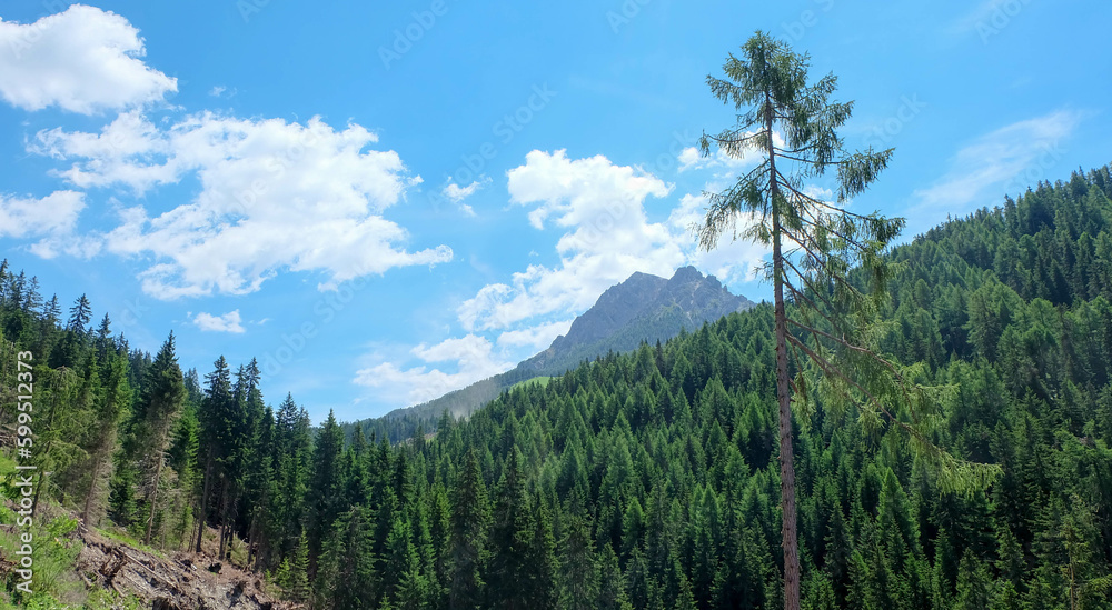 Südtirol bei Bruneck in Italien