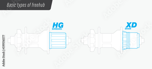 Vector infographic, basic types of freehub body on an MTB bicycle. Isolated on white background.