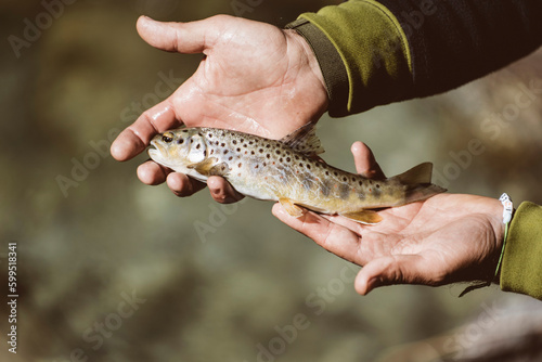 Mano di pescatore che mostra una trota appena pescata nel torrente di montagna con la pesca a spinning 