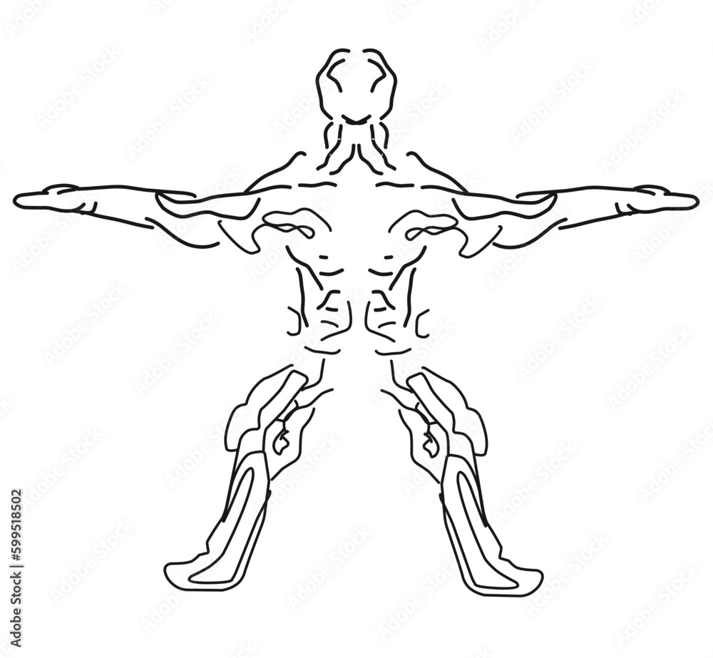 Vinci, icon Vetruvian Man, vector human body anatomy Vinci, icon Vetruvian Man, vector human body anatomy