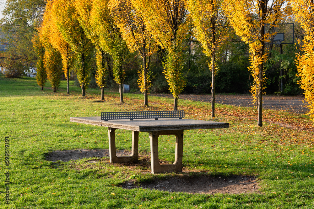 Naklejka premium Outdoor Table Tennis In Park